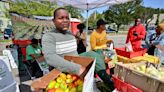 Worcester County farmers, markets grapple with loss caused by flooding