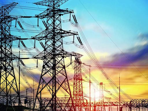 Adani Power plans capacity expansion via inorganic route