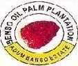 Benso Oil Palm Plantation