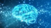 Nuevo estudio: cómo envejece el cerebro a lo largo de los años