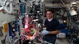 Space Station Astronauts Find Desiccated Tomato After Blaming Colleague for Its Theft