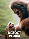 Bigfoot in Ohio