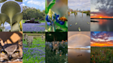 VOTE: Help us choose the best KXAN viewer photo of March 2024