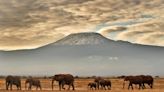 You can now tweet as you climb Mount Kilimanjaro thanks to new Wi-Fi network