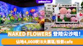 香港好去處｜NAKED FLOWERS花花世界登陸尖沙咀！佔地4,000呎 8大展區/投影cafe 附門票優惠連結