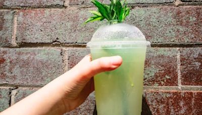 Receta fácil: cómo preparar jugo de aloe vera y limón, la bomba detox que ayuda a mantener el vientre plano