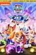 Paw Patrol: Jet to the Rescue