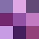 Shades of purple