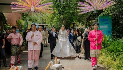 How about saying ‘I do’ at the zoo?: Seal your love in style with storks as your bridesmaids