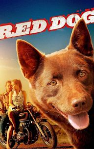 Red Dog