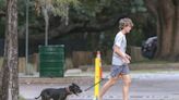 Florida High School Cross Country Team Helps Shelter Dogs Get Adopted By Running With Them