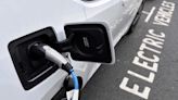 Lubi Pumps enters EV charging with new vertical ‘Lubi EV Solutions’ - ET Auto