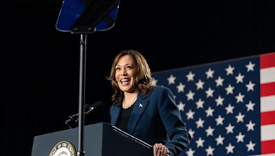 What to know about Kamala Harris, coconut trees and 'Brat Summer'