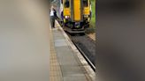 Glasgow-bound train slows down to let duck waddle down track at station