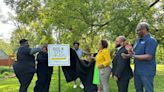 Officials, conservationists announce Detroit as certified Bee City on World Bee Day