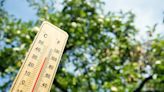 Louisiana heat wave forecast shows 110-115 degrees in parts of state through weekend