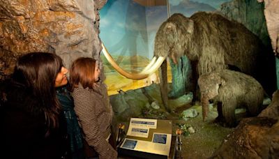 The seven wonders of Wales' national museum