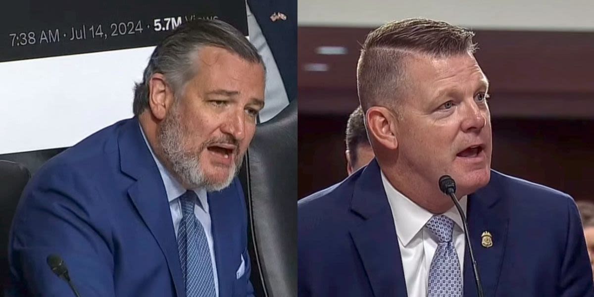 'Stop interrupting!' Ted Cruz screams at Secret Service witness at heated Senate hearing