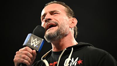 WWE NXT Star Praises CM Punk's Backstage Influence - Wrestling Inc.