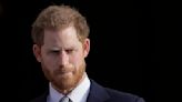 Lee calls out Prince Harry over his remarks on democracy