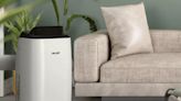 The best portable and window air conditioners for Summer 2024