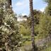 Glendurgan Garden