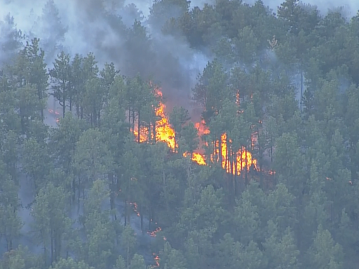 Alexander Mountain Fire in Colorado grows slowly to around 990 acres on second day