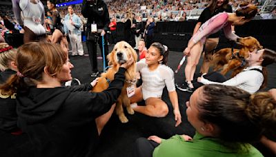 A golden retriever provided comfort and calm to gymnasts at the Olympic trials. How pet therapy works.