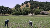 U.S. bishops on Labor Day: Honor ‘human dignity of all who labor’