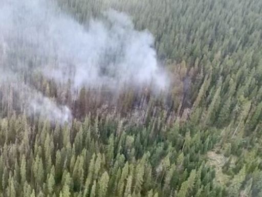 Wildfire out of control in Calgary Forest Area as risk climbs to 'extreme'