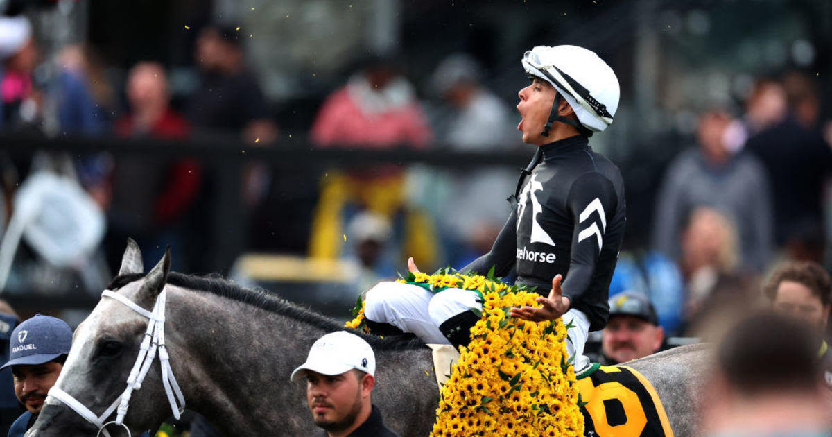 Seize the Grey, winner of the Preakness Stakes, has over 2500 owners. Here's how