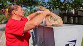 ‘Stamp Out Hunger:’ Letter carriers deliver donations in nation’s largest 1-day food drive