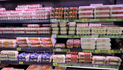 全台雞蛋價格創新低！4大通路即日起全面降價 每盒最高省31元