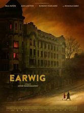 Earwig