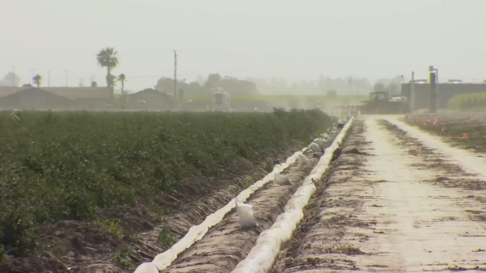 Kings County Farm Bureau suing State Water Board over Tulare Lake subbasin probation