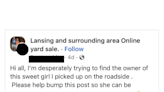 How sharing Facebook post about lost pet could put you, friends at risk of scam