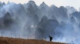 'Our mountains are gone': Grief as sacred New Mexico forests burn