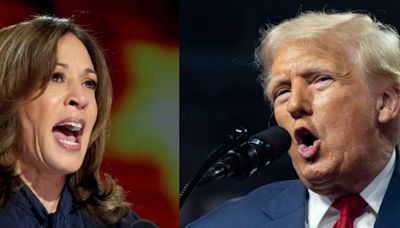 Trump says Kamala Harris was born 'mentally impaired' in what he conceded was a 'dark speech' at a Wisconsin rally