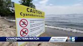 Burlington alert system keeps beaches open during heat wave, despite presence of cyanobacteria