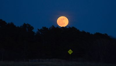 When is the next full moon? What is the Flower Moon? What to know about May's full moon