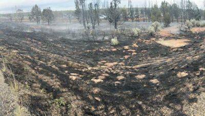 PHOTOS: 100-acre wildfire in Kane Co. causes power outages in Utah, Arizona