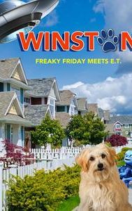 Winston - IMDb