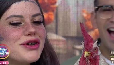 Falleció Daniel el Gallo; La mascota viral que conquistó TikTok y Venga la Alegría