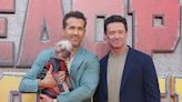 Britain's ugliest dog Peggy's red carpet moment with Ryan Reynolds