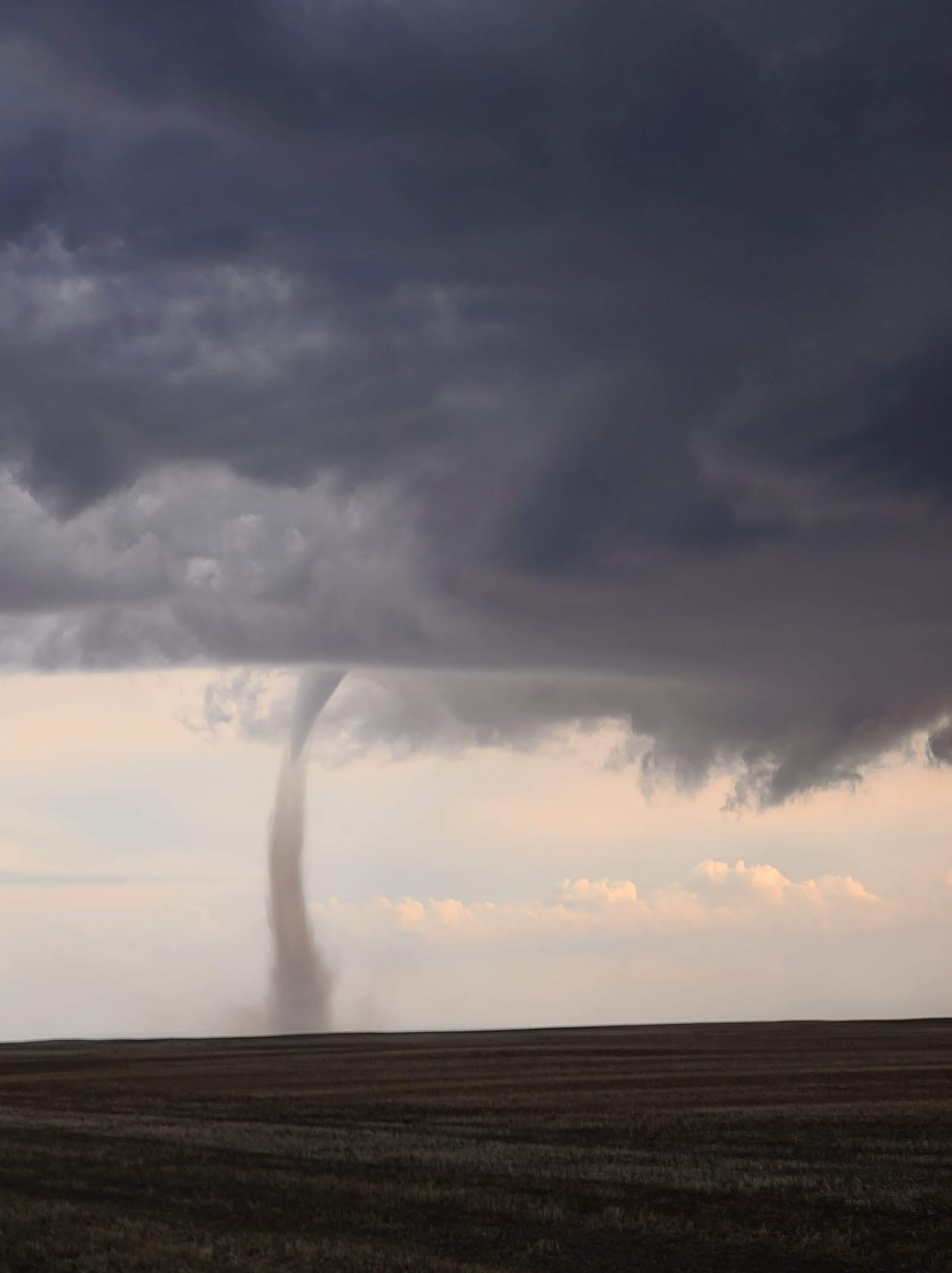 Tornado researchers say a twister touched down near Leamington, Ont., on Tuesday