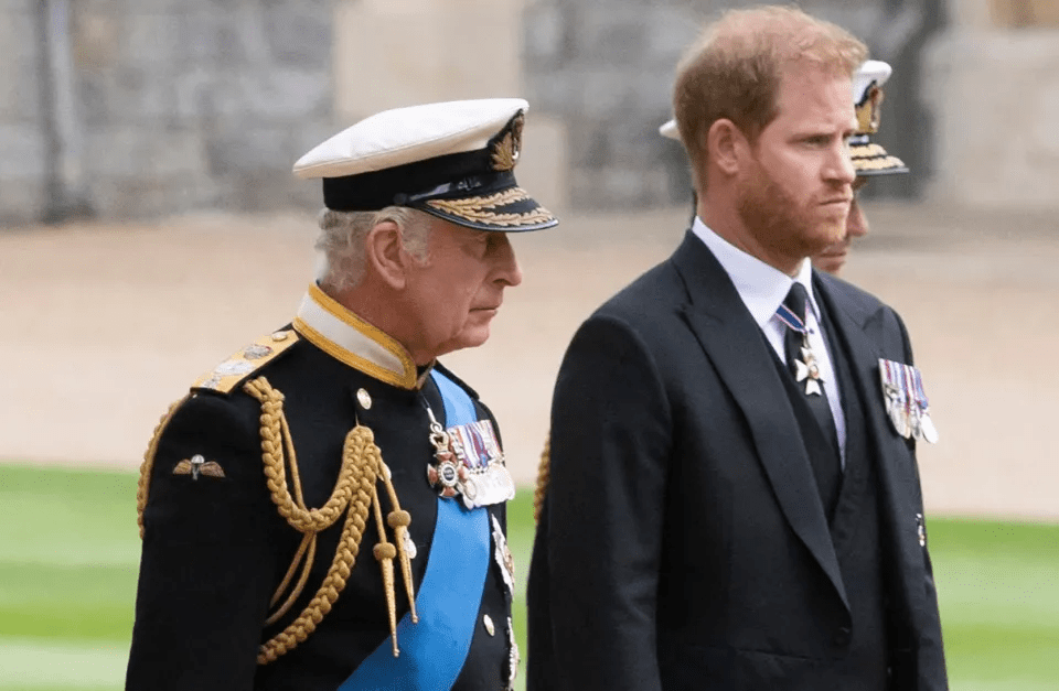 Charles "could have found time" to see Harry, Royal Photographer says
