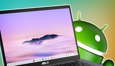 You Can Use Android Apps on Your Chromebook: Here's How