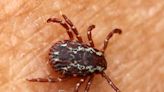 CDC issues health alert for potentially deadly Rocky Mountain Spotted Fever