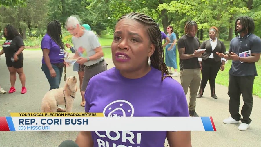 House members campaign with Cori Bush Saturday