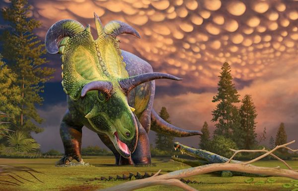 New horned dinosaur species discovered 'largest and most ornate' of its kind ever found